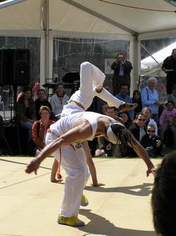 Acrobatics-Copyright_EOTR-AustrianClubMelbourne