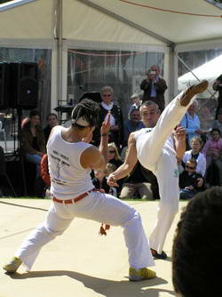 Martial_Arts_Moves-Copyright_EOTR-AustrianClubMelbourne