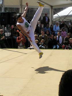 Flying-Copyright_EOTR-AustrianClubMelbourne