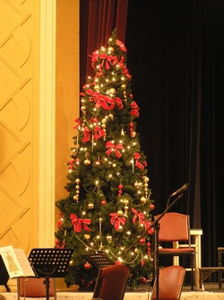 Christmas_Tree-Copyright_EOTR-AustrianClubMelbourne