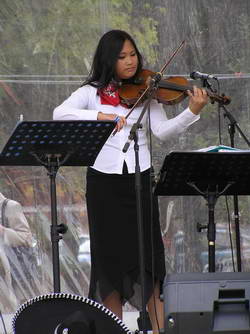 Violin_Harmony-Copyright_EOTR-AustrianClubMelbourne