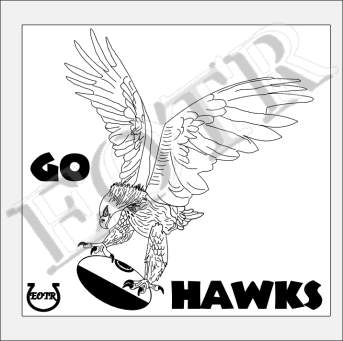 Detailed picture of AFLGoHawks_GA