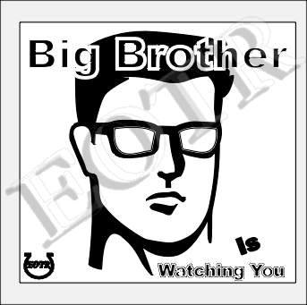 Detailed picture of BigBrotherIsWatchingYou_GA