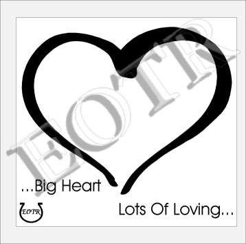 Detailed picture of BigHeartLotsOfLoving_GA