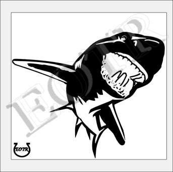 Detailed picture of GreatWhiteShark_GA