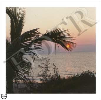 Detailed picture of SunsetAtBeach_MOMc