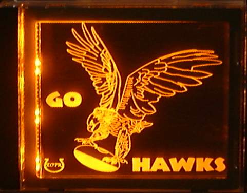 Photo example of AFLGoHawks_GA