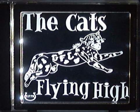 Photo example of AFLTheCatsFlyingHigh_GA