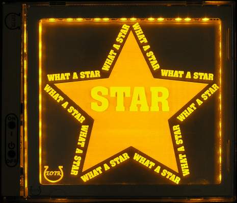 Photo example of WhatAStar_GA