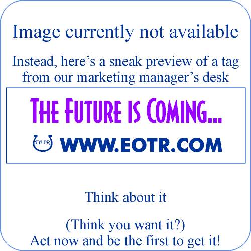 Photo example of Integrity_GA