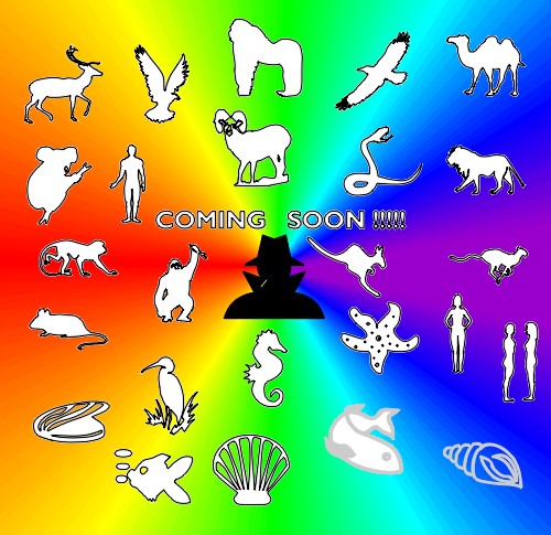 Photo example of TripMeOut_MOMc